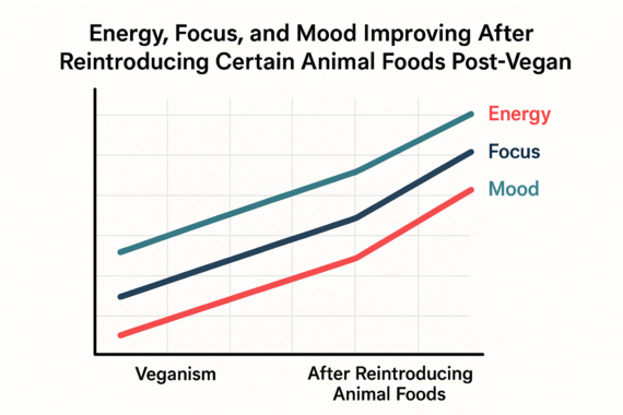 energy/mood chart with food reintroduction